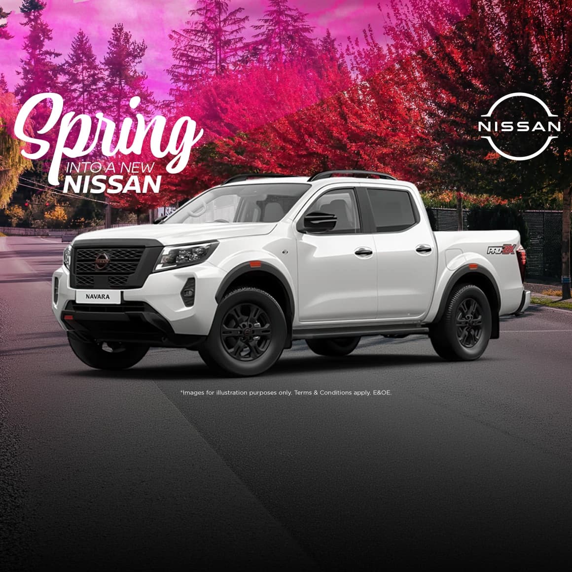 Navara