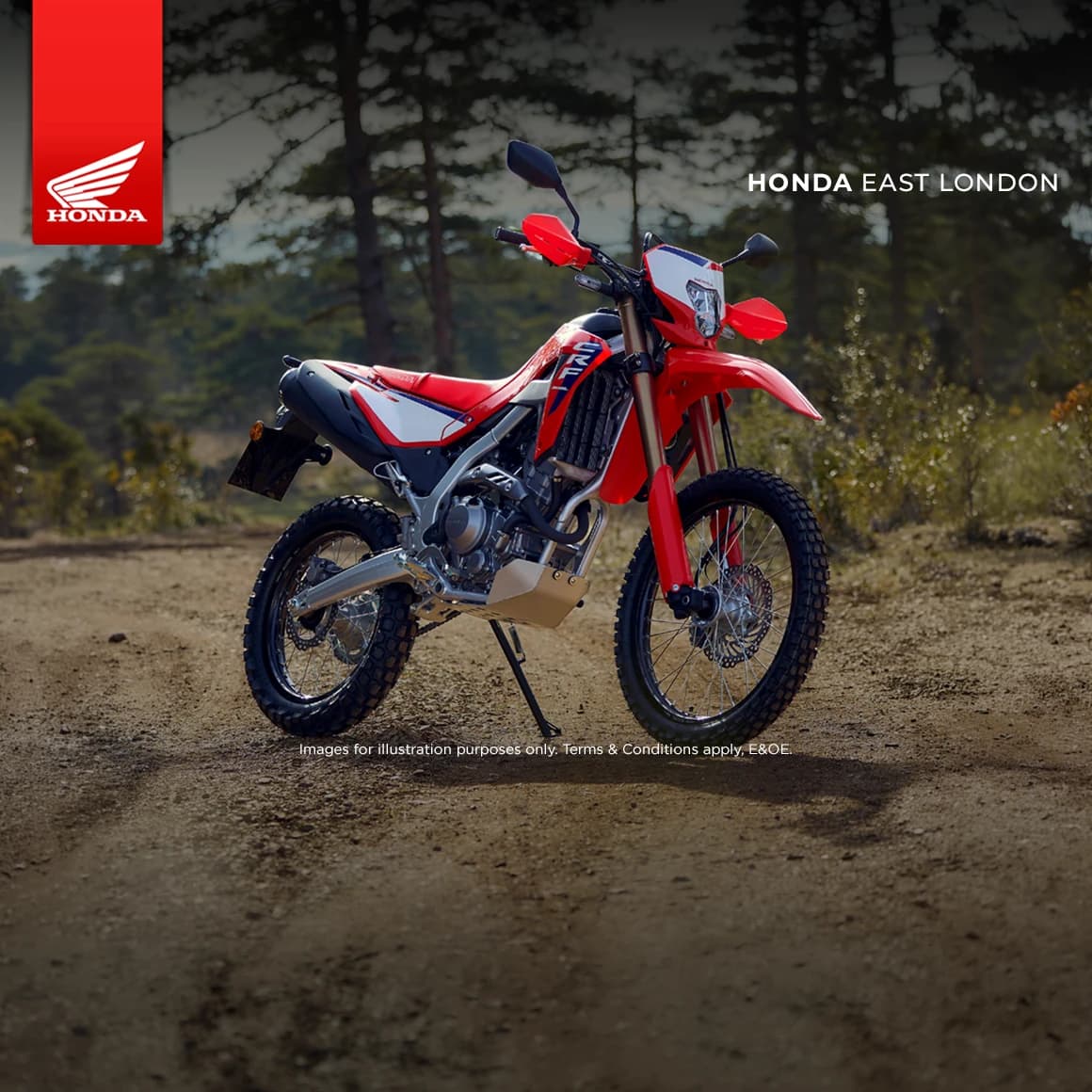 Honda Wing CRF300L