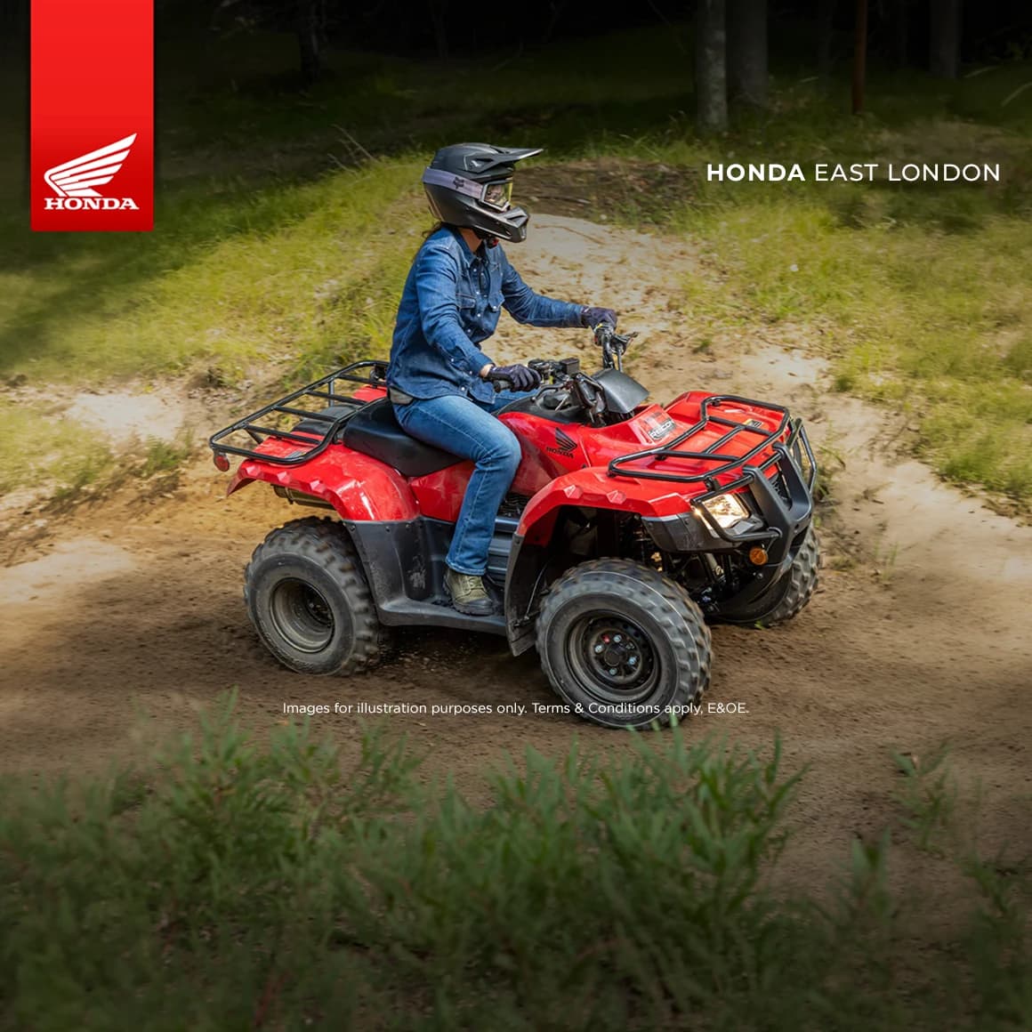 Honda Wing Trx 250 Tm