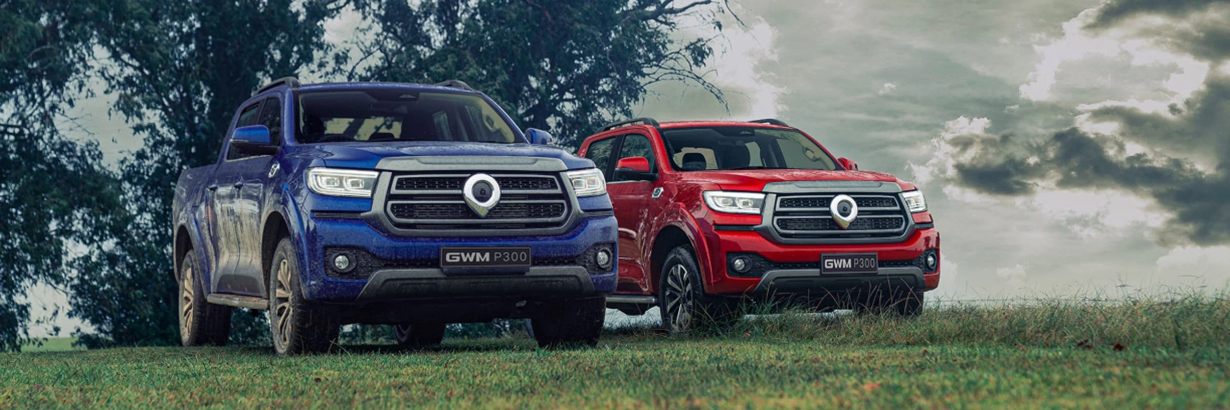 New GWM P300 — photo 1 of 8