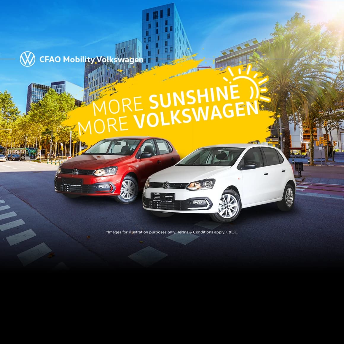 Polo Vivo