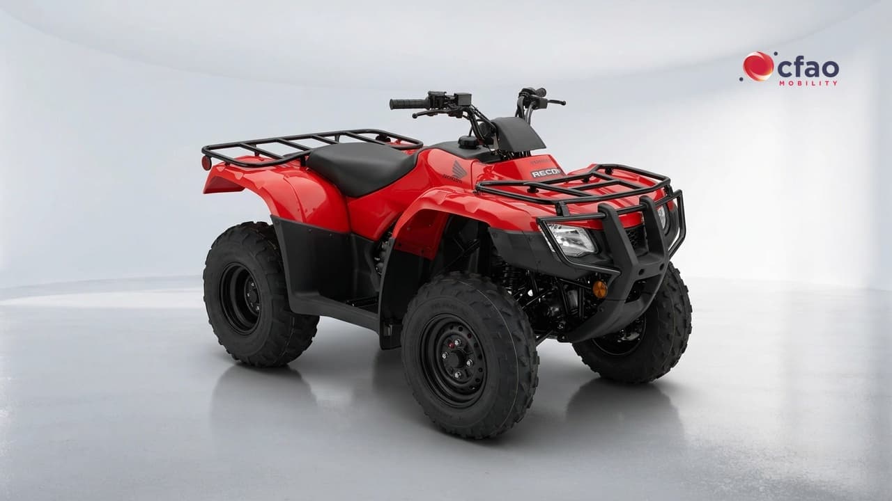 Honda Wing Trx 250 Tm