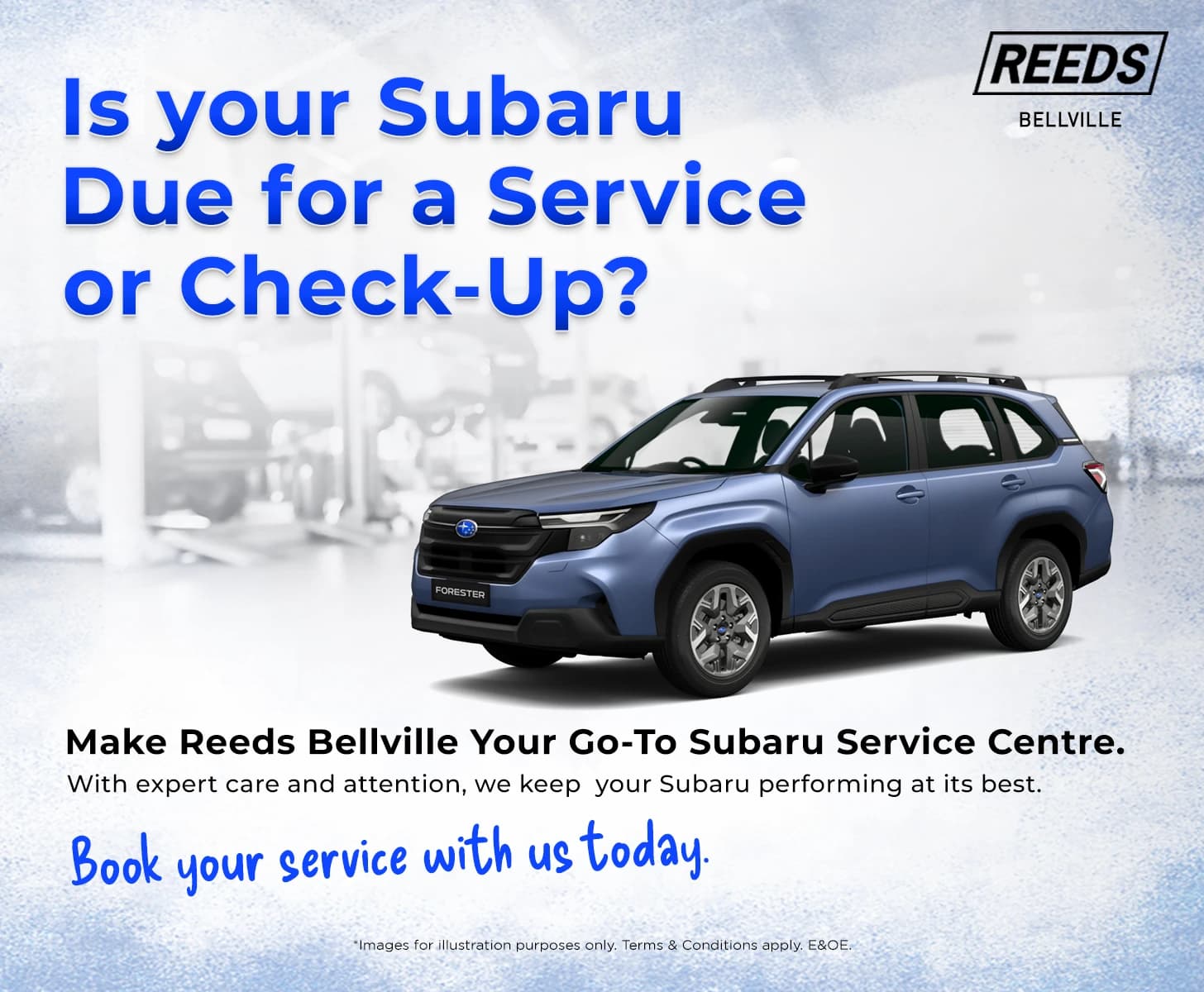 Subaru Service & Check -Up