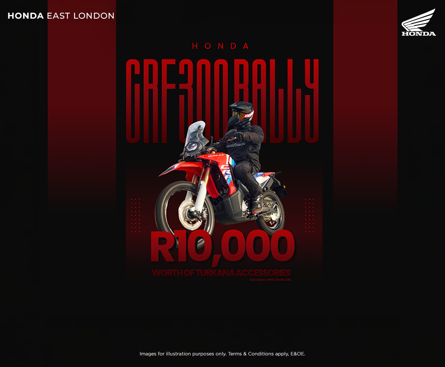Honda Wing CRF300R Rally